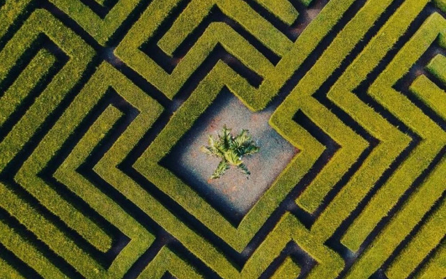 Los Corales Beach Front E101