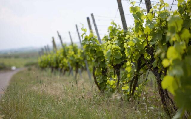 Weingut Winzerstube Schilling