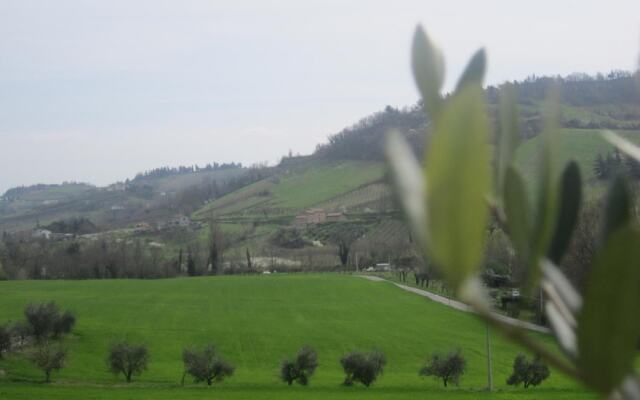 Agriturismo le Spighe - Fattoria Bertaccini