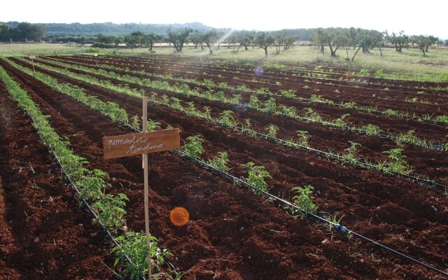 Agriturismo Masseria Galatea