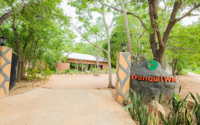 Tranquil Wilds