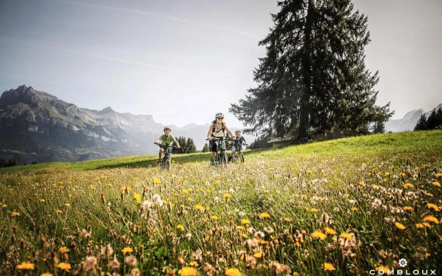 Chalet Alpen Valley, Mont-Blanc