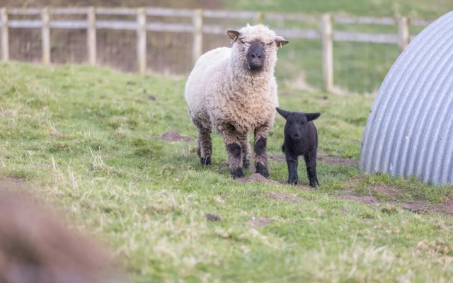 The Bothy - North East Escapes
