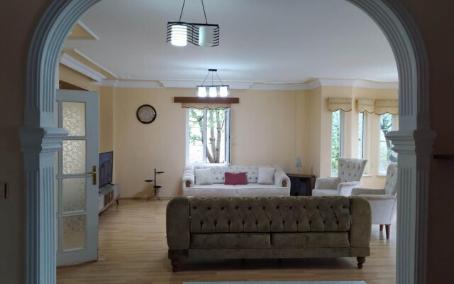 Cozy Home With Pool and Fireplace in Sapanca