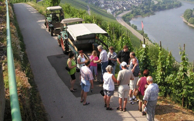 Ferienweingut Rainer Hirschen
