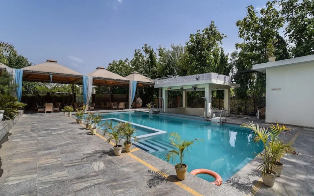Damore Hotels And Resorts
