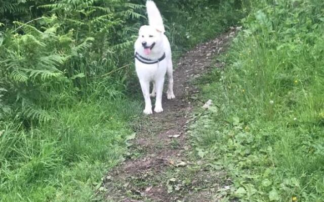 Tall Trees Seaside & Nature Retreat B&B