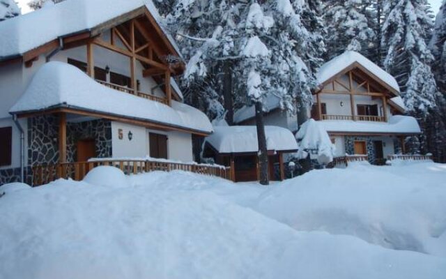 Saint George Borovets Hotel