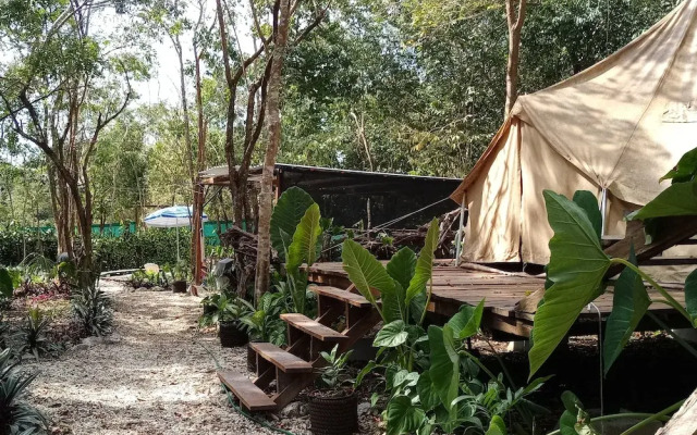 Cozumel Glamping