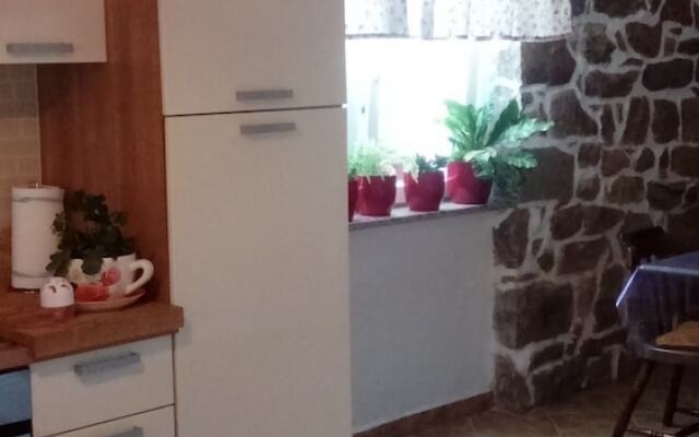 House Predrag