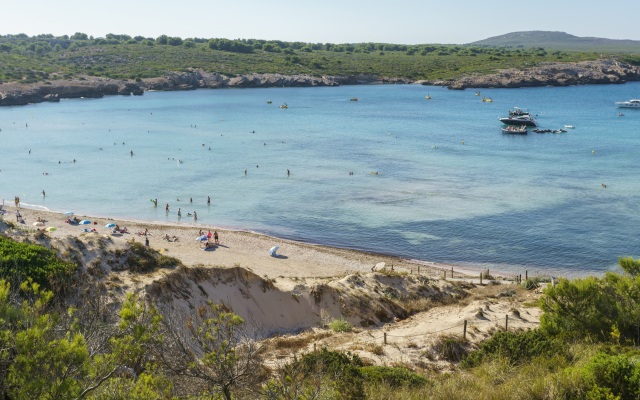 Apartamentos Posidonia