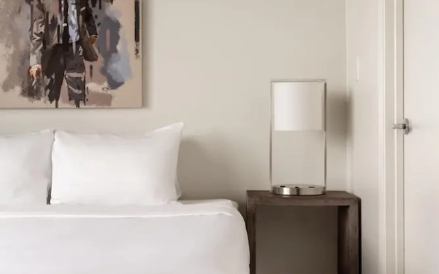 Austin Vibrant 1BD 1BA Apartment