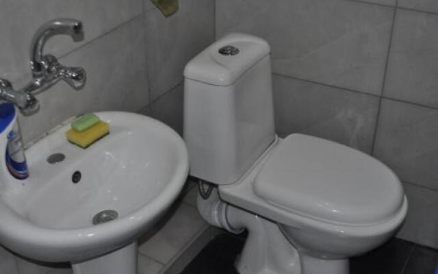 Guesthouse Dariali