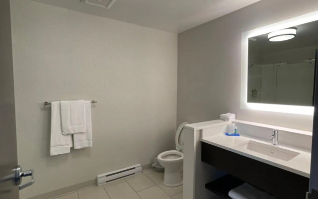 Holiday Inn Express & Suites - Gatineau - Ottawa by IHG