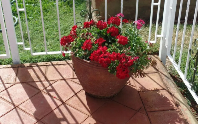 Villa Leone