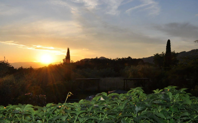 Agriturismo Podere Marchiano