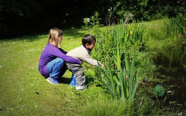 Stutteri Skandi Hest