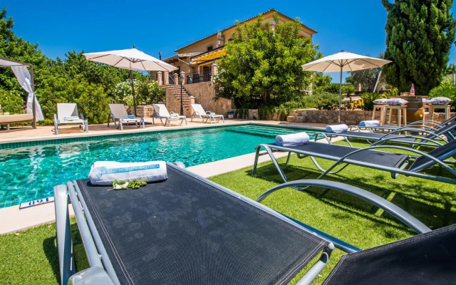 Puig d'en Guardiola ID:74768