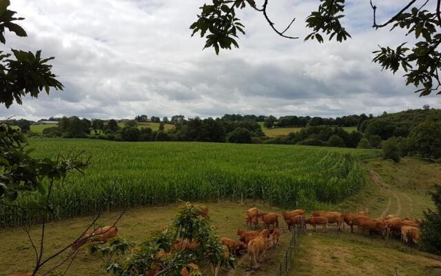 La Thibaudiere Tilleul