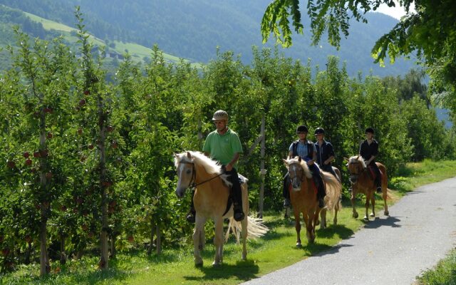 Bio Landhotel Anna