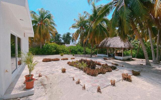 Coconut Palm House - El Cuyo