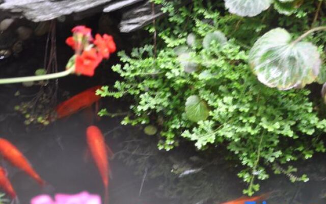 yin yi