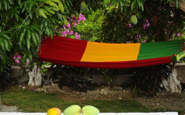 Hillside Ocean View Villa