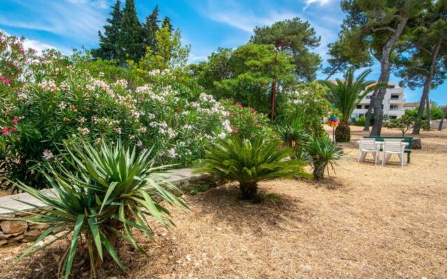 Apartment Mirta Castiglioncello 40566