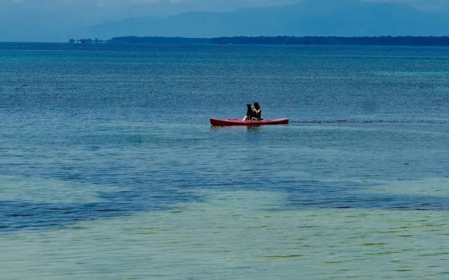 Private Beachfront House With Kayak & Guided Tours