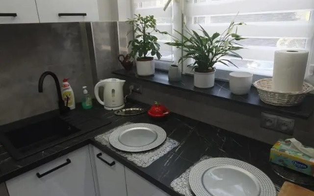 Apartament Park Saski