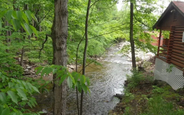 Seven Dwarfs Motel and Cabins