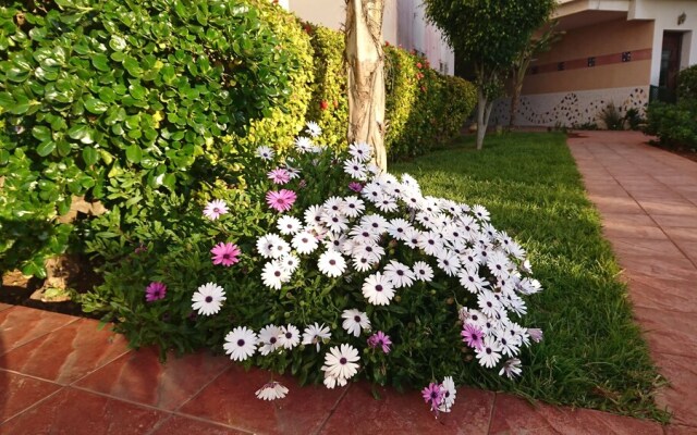 Artistica Suite - La Siesta