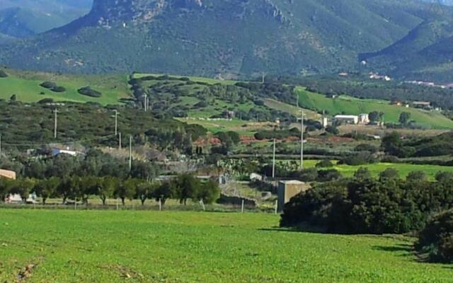 Apartment Nuraghe, barrierefrei, auf Olivenhain
