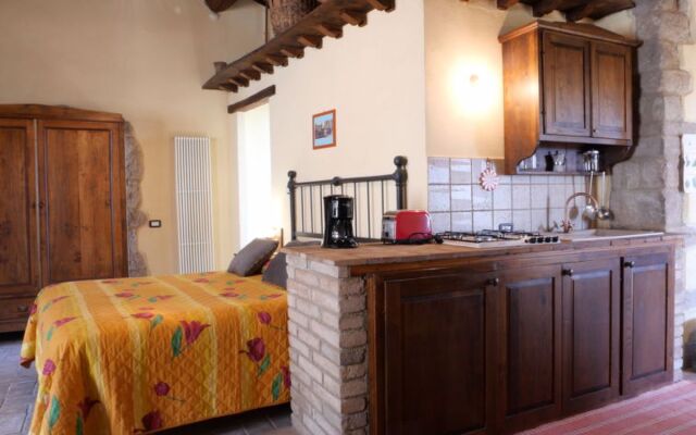 Mimosa - Borgo la Civitella