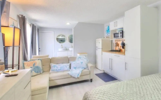 The Mermaid and the Sea Turtle