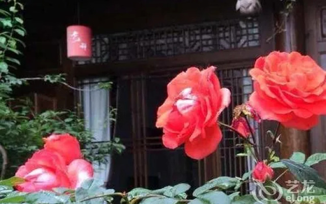 Tree's Tale Hotel - Lijiang