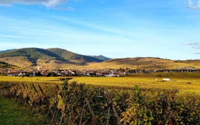 Appartement 2 pièces au centre d Obernai