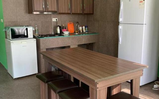 Shekvetili Beach House