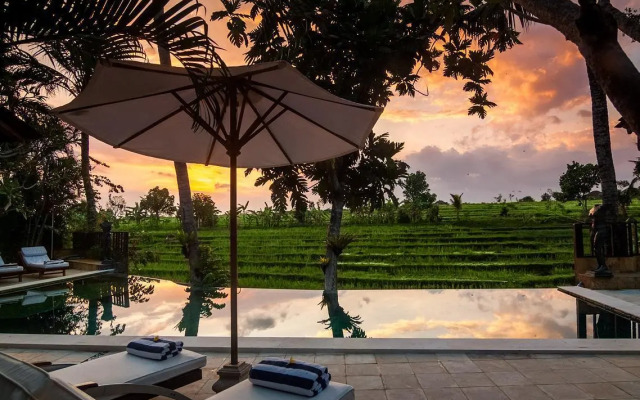 Rice Field Terrace Tirta Villa Canggu