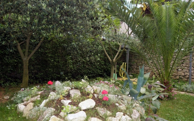 Apartment Mirja - 50 m from beach: A2 Petrcane, Zadar riviera