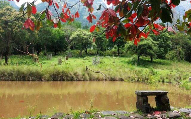 Jungle Hut Resorts