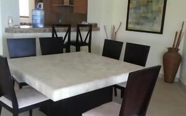 Palmetto Ixtapa 313