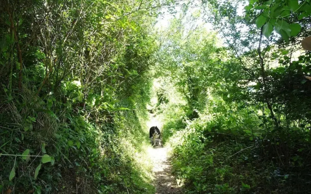 Two Acres