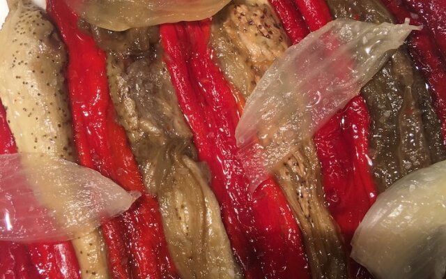 Beauty Llívia by Singular's