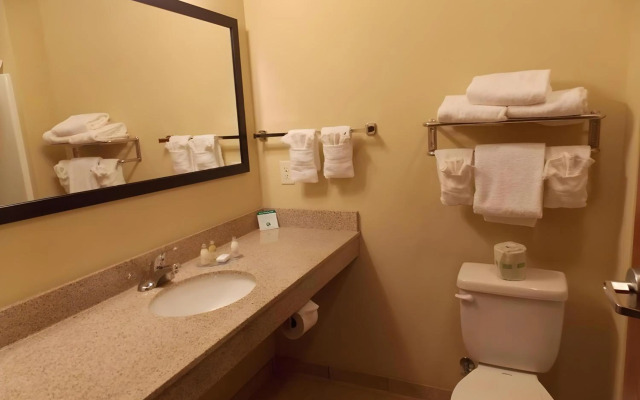 AmeriVu Inn and Suites