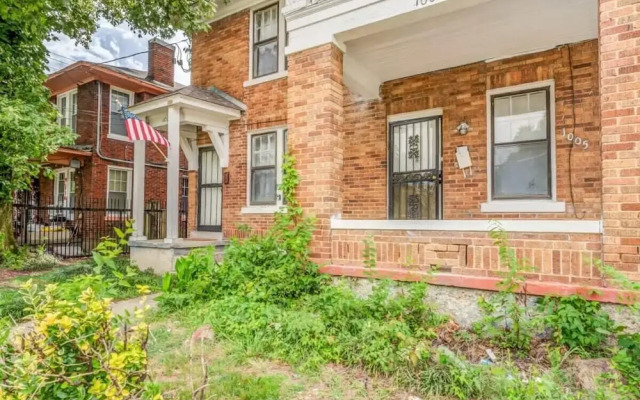 Rozelle Roost Downstairs