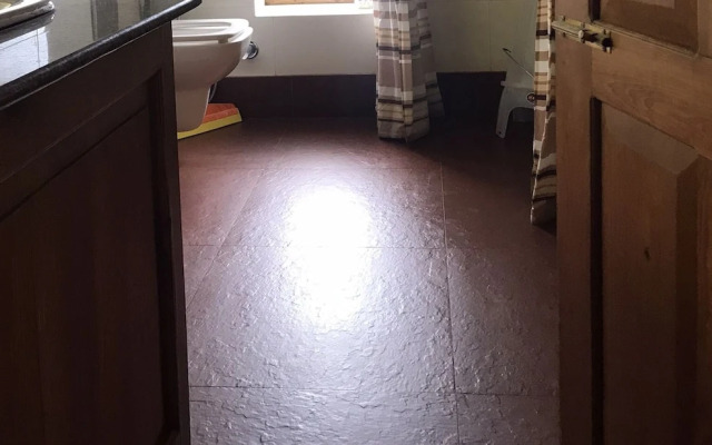 Himalayan Kothi Kais