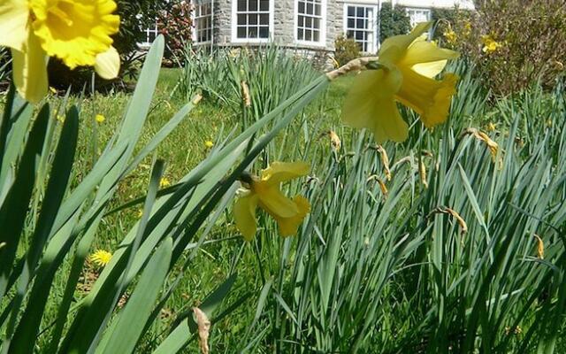 The Old Vicarage