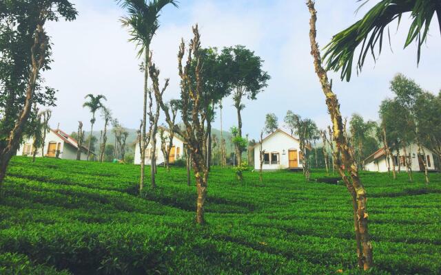 Tea Terrace Vythiri Resort