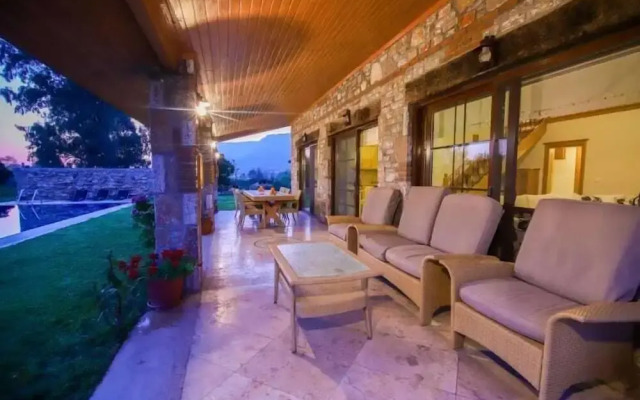 Villa Palm Tree